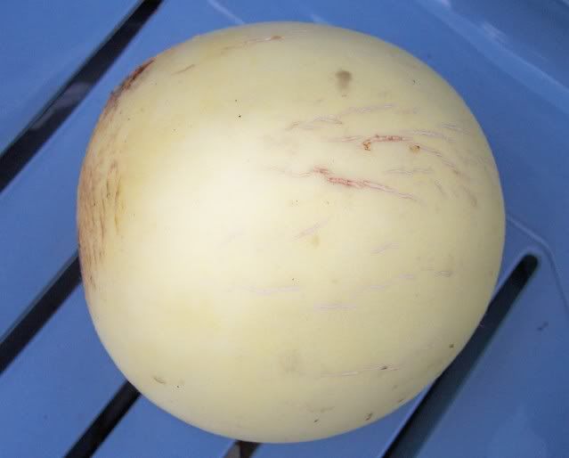 Early Crisp photo earlycrisp1.jpg